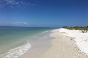 Marco Island beach rules