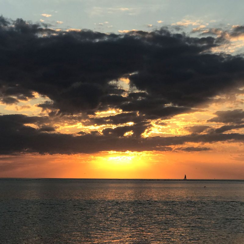 Sunset Boat Tour on the Gulf of Mexico near Marco Island FL