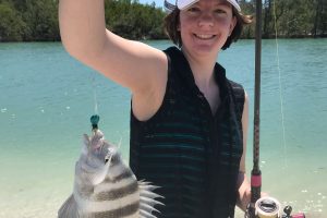 Sheepshead fish caught near Marco Island