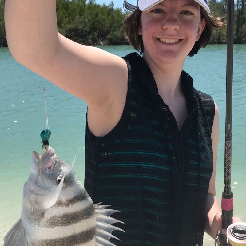 Sheepshead fish caught near Marco Island