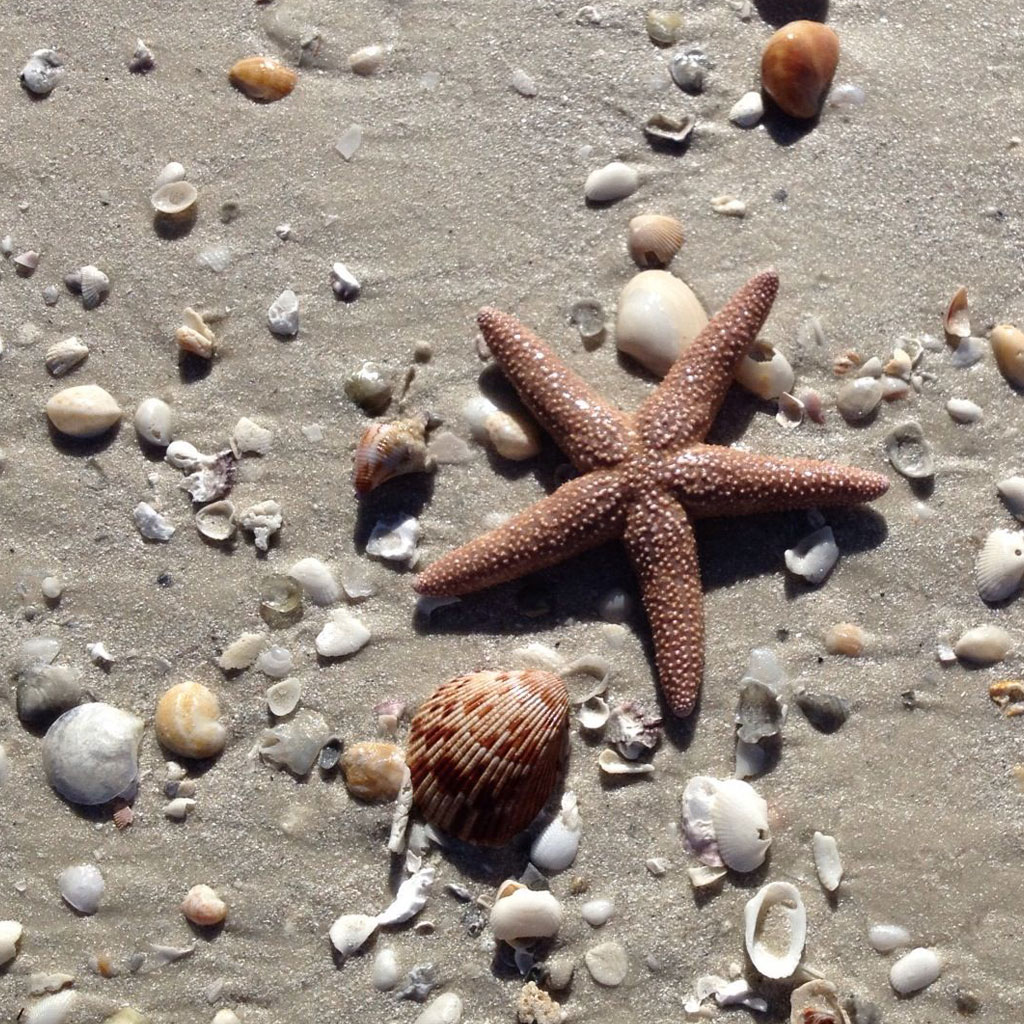 Sightseeing boat tour on Marco Island