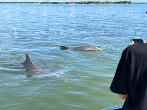 Chicago family enjoying seeing wild dolphins on their Marco Island private boat tour