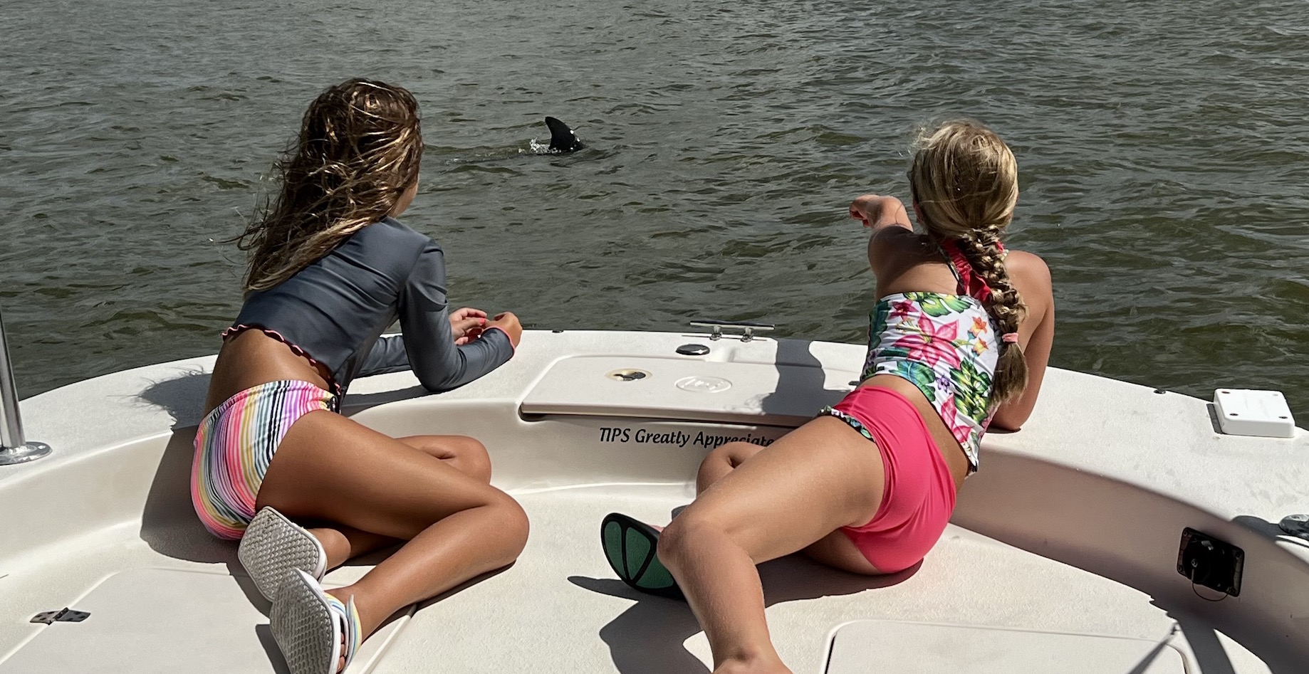 kids love seeing dolphins on our boat tour