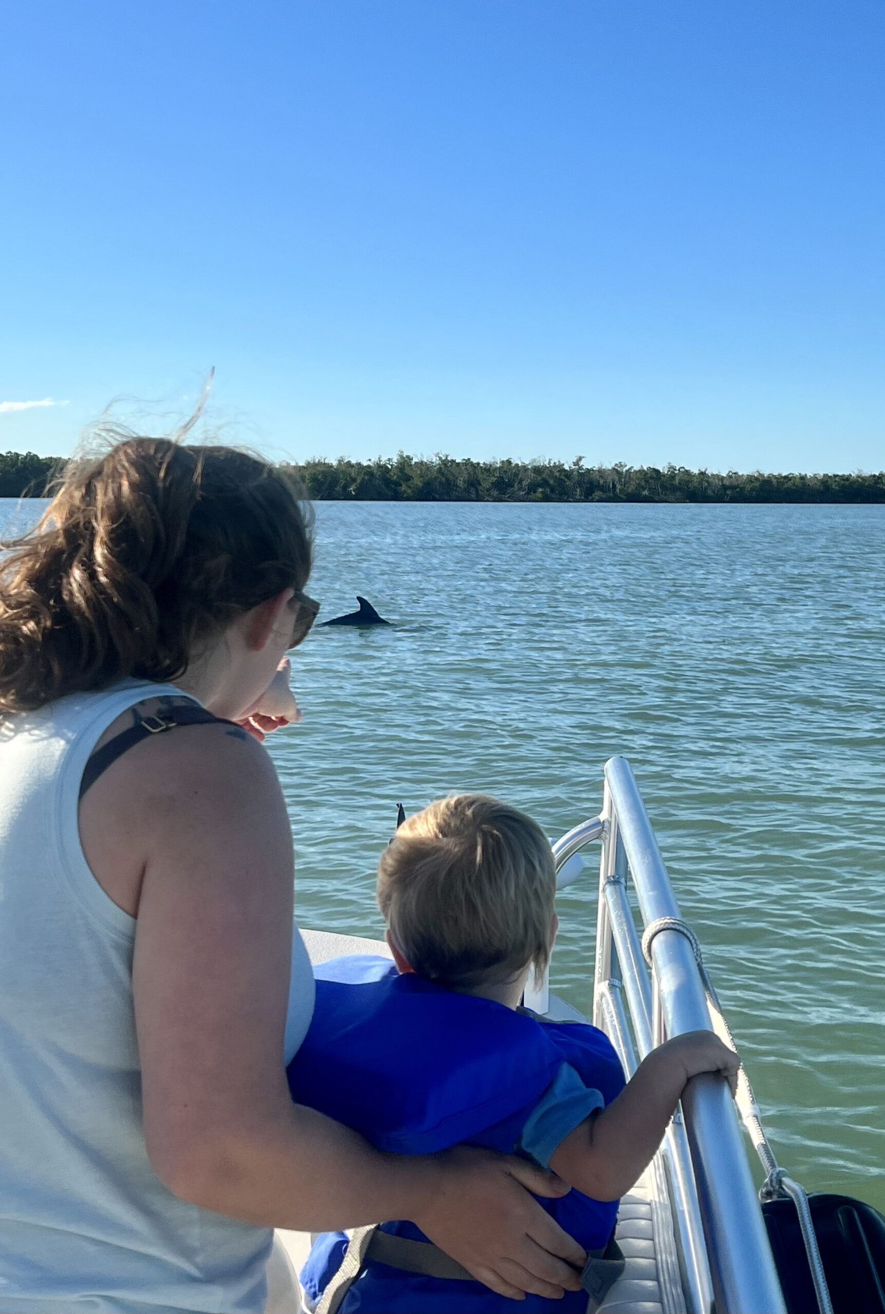 Little guy seeing wild dolphins for the first time during a dolphin tour on marco island