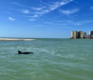 Marco Island Boat Tour