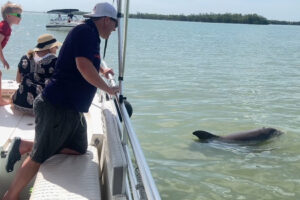 Guided dolphin tour in Marco Island Florida