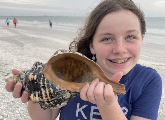 Conch Shells: How Conch Shells Are Made