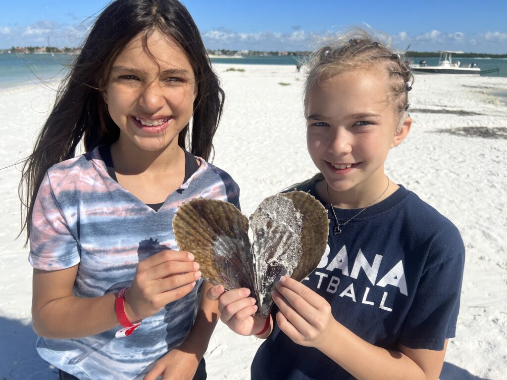 kids loving the shells on our dolphins and shelling boat tour