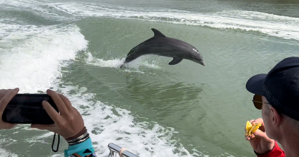 Everglades Boat Tours near Marco Island