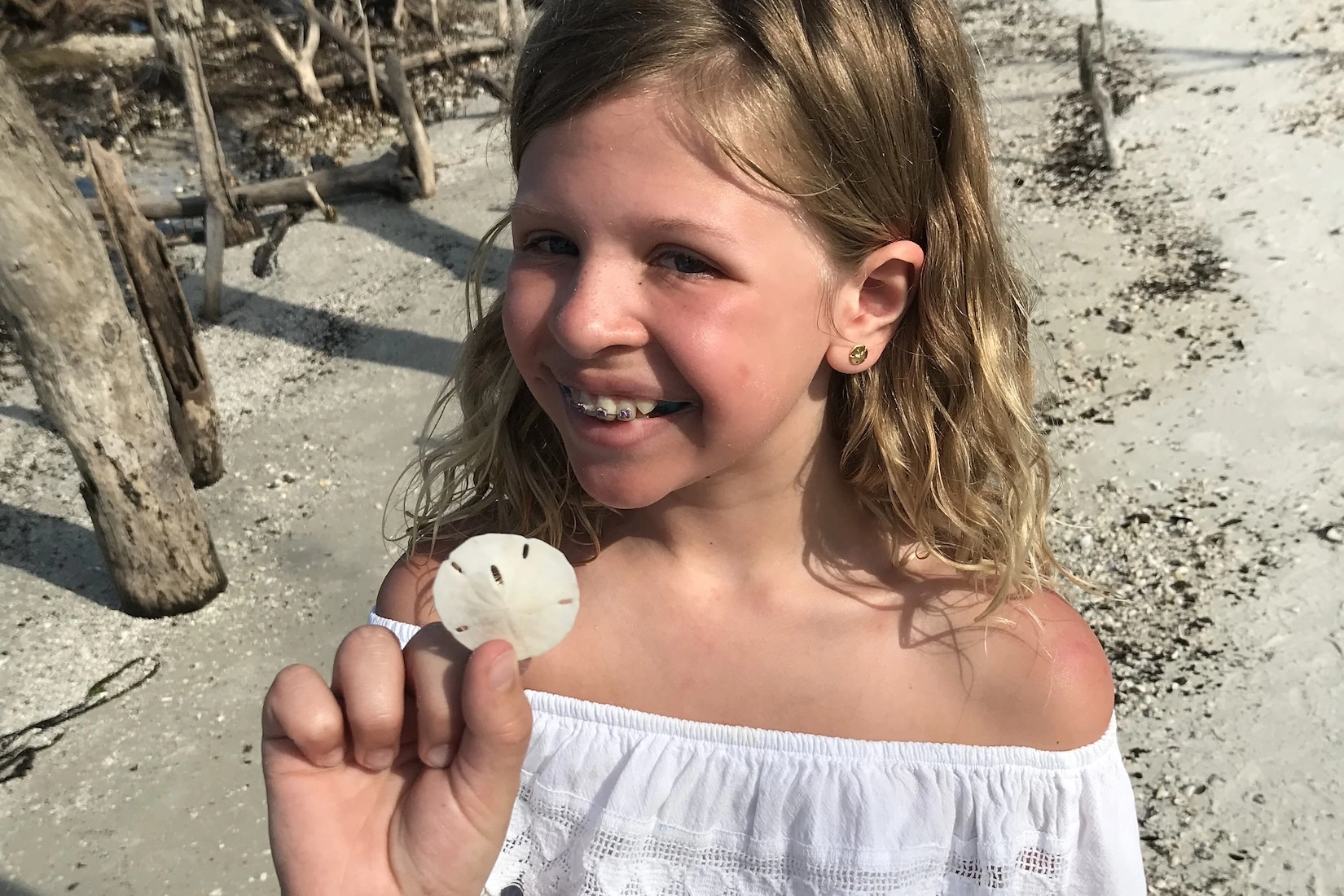 Finding sand dollars at Cape Romano