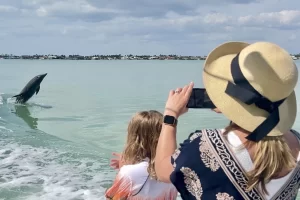 Watching dolphins play behind the boat