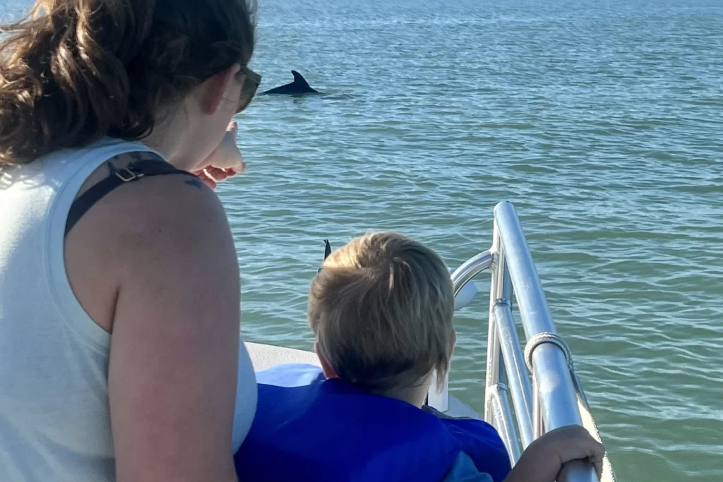 Spotting dolphins on Marco Island