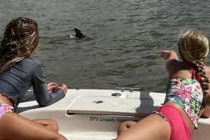 Kids love seeing wild dolphins!