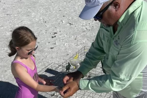 Marco eco-tour guide explaining how baby shells begin in a shell egg casing to a boat tour guest