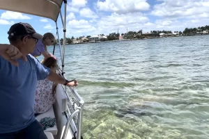 Eco-tour guests observing a Florida manatee