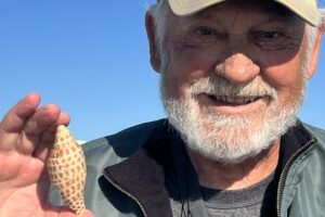 Steve found a nice Junonia on shell island near Marco