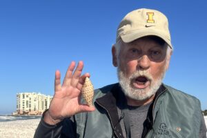 Shelling adventure on shell island