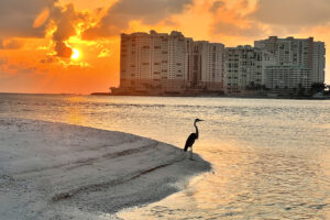 Marco Island Sunset Cruise