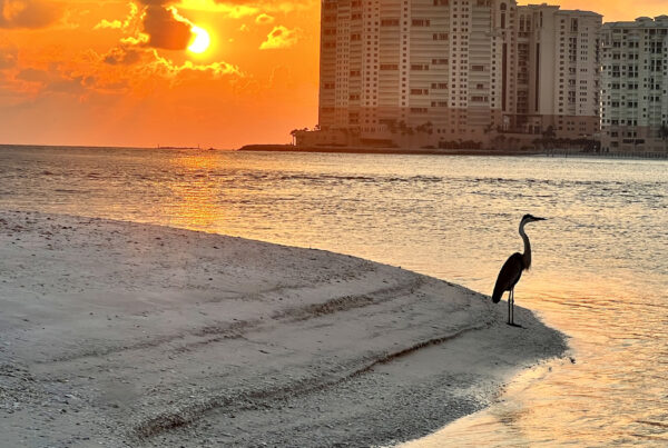 Marco Island Sunset Cruise