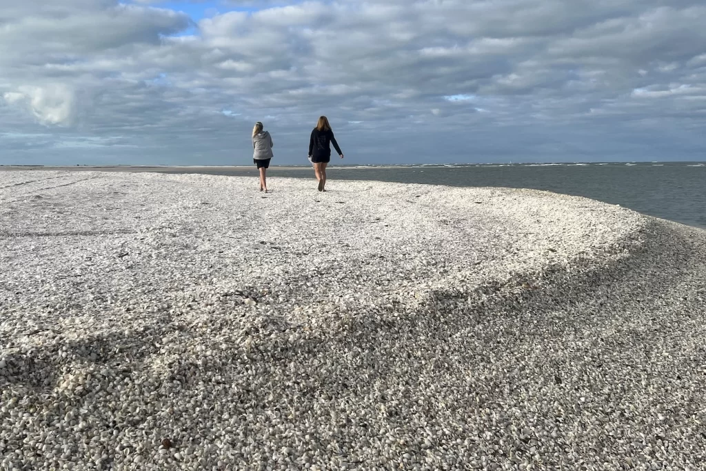 Shelling Boat Tours on Marco Island