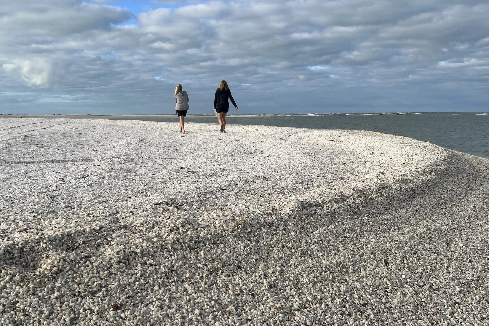 Shelling Boat Tours Marco Island