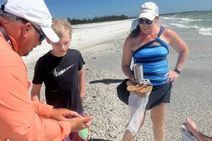 Guide teaching guests about shells