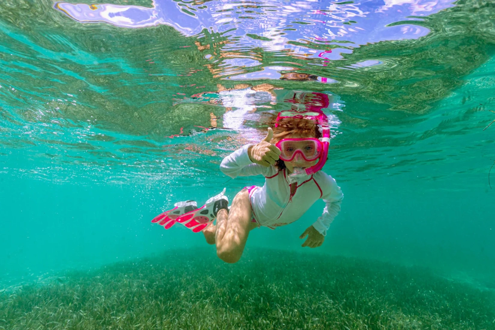 Explore the underwater world of the shores of Marco Island