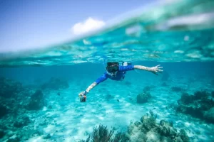 snorkeling near Naples Florida