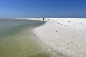 Exploring the beaches of Marco Island