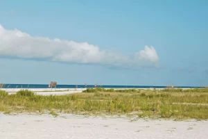 A beautiful natural beach