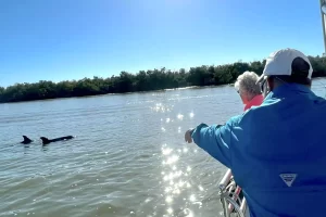 Spotting wild dolphins on a Marco boat tour