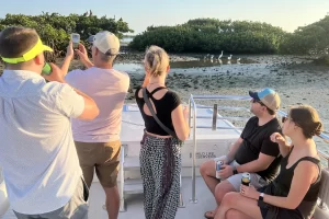 Bird rookery on a 10,000 Islands Eco-tour