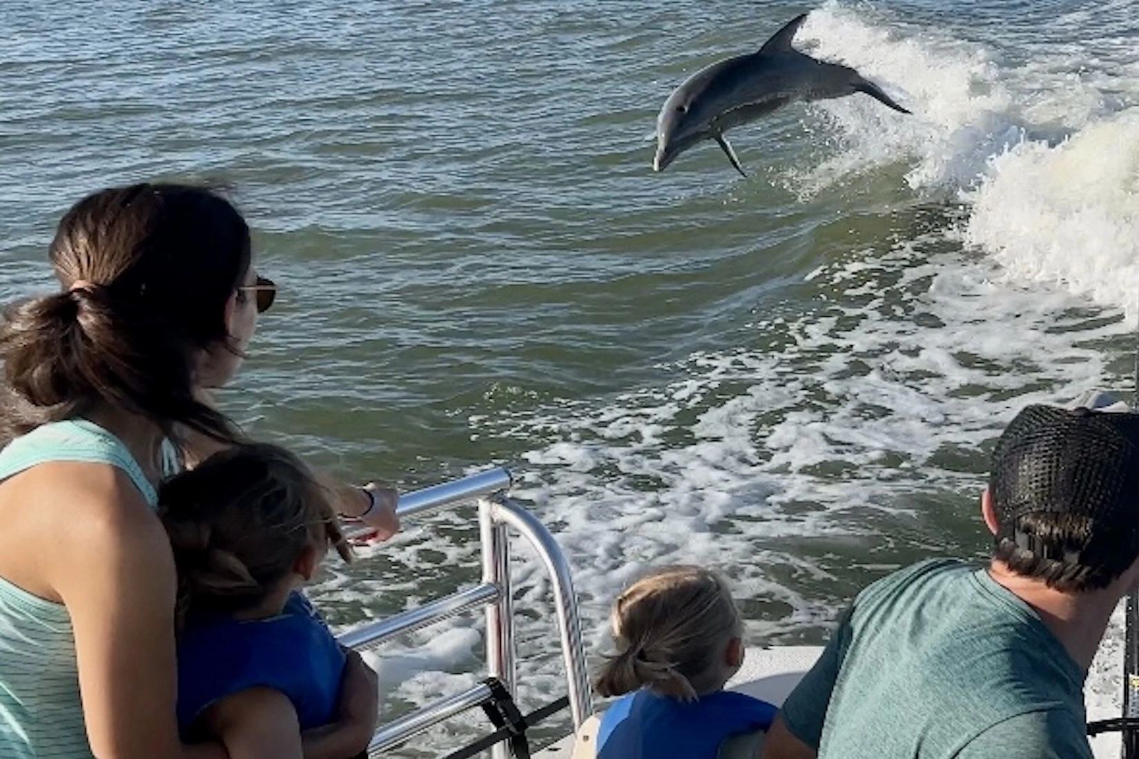 Private family dolphin boat tour on Marco Island