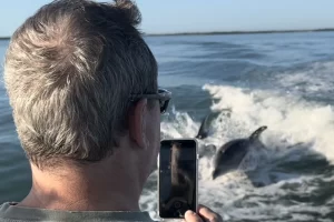 Try taking a video of the dolphins jumping