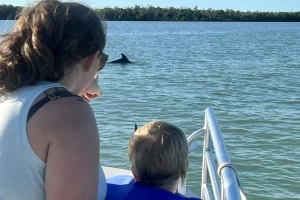 Family dolphin tours