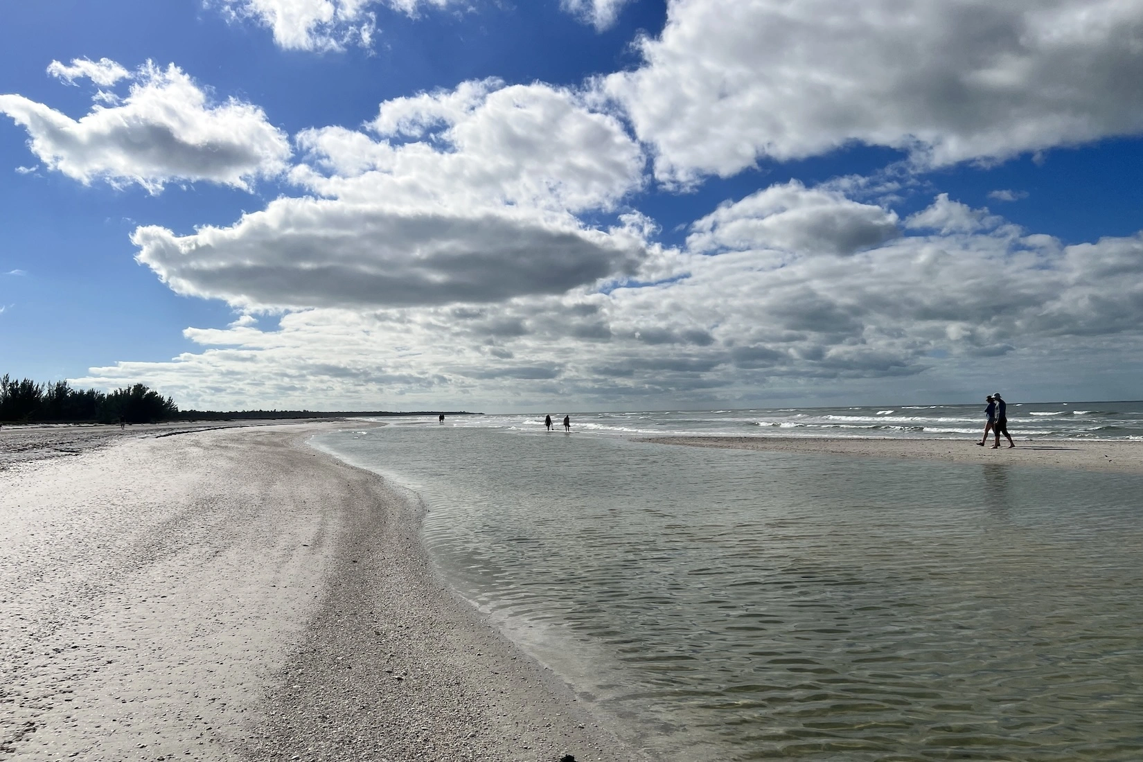 See amazing secluded barrier island beaches on our Marco Island Eco-tours