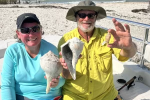 Great shelling in the 10000 Islands