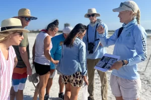 Audubon guides teaching about Florida nesting bird species