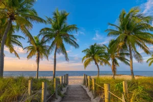 Florida's beatuiful beaches are an eco adventure