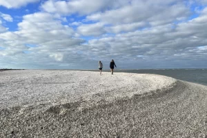 Shell bars made completely out of shells near Marco Island