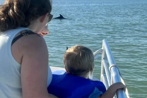 Sighting dolphins is so fun for kids