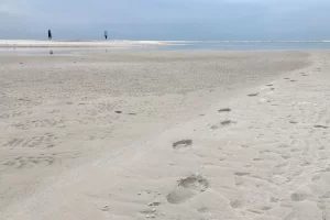 Leave only footprints on the beach