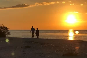 Sunset tour on Marco Island