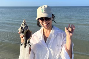 Florida horse conch and a Junonia - epic shelling day!