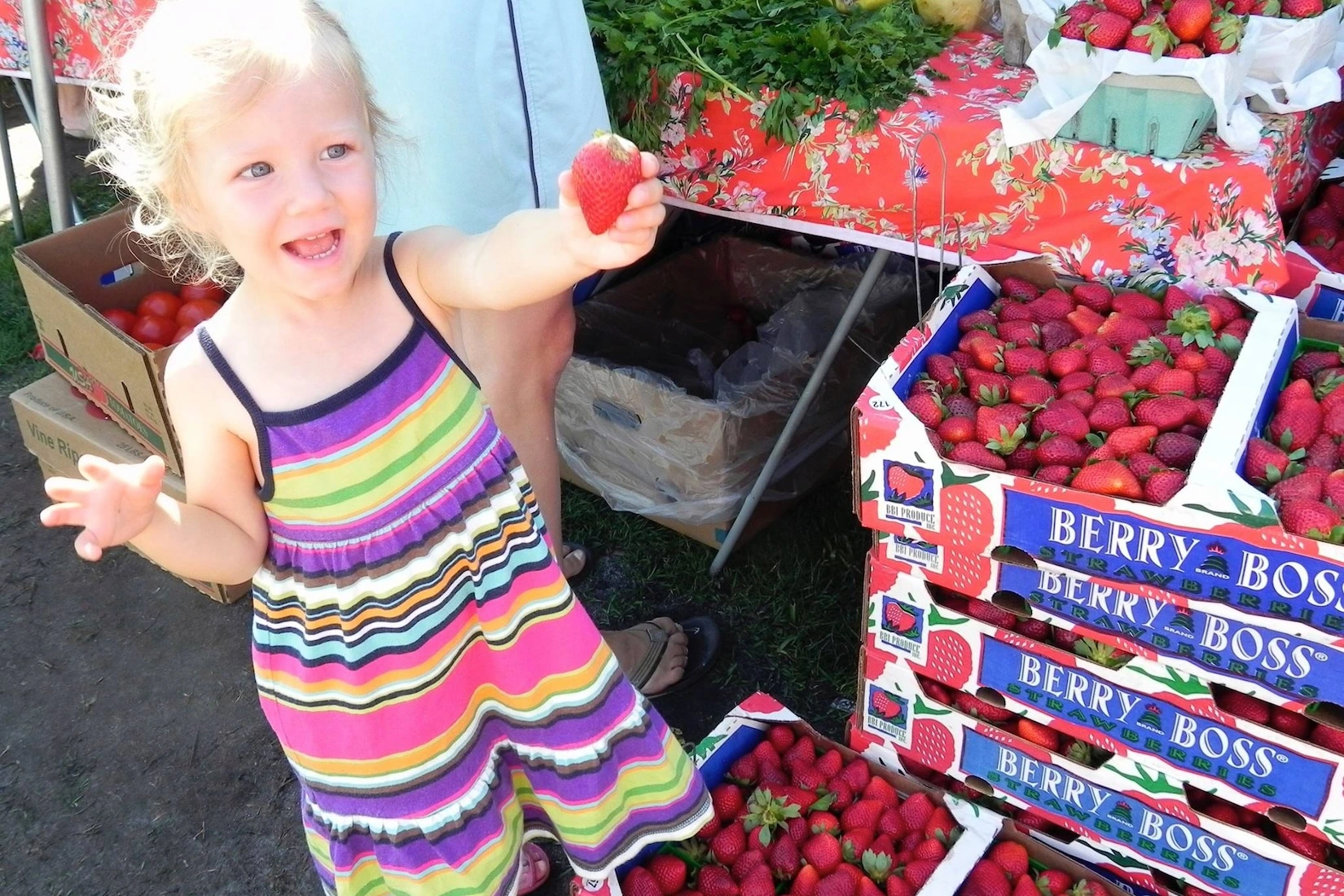 Kids love tasting the strawberries at the Marco Island Farmer's market