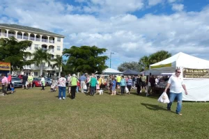 People exploring and shopping at the market