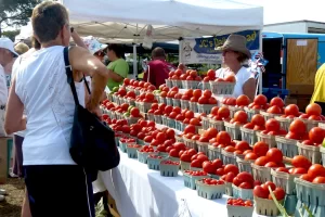 Tomatoes galore at the Farmer's Market