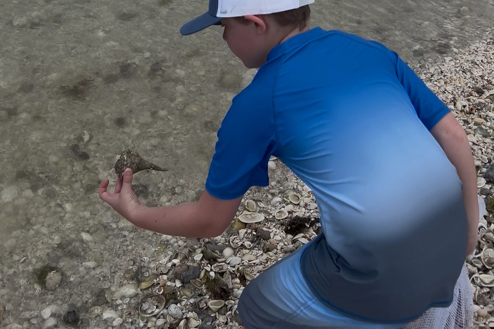Kids love shelling on our eco tours!