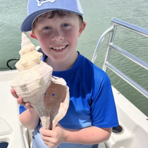 Wow! huge horse conch found on a Marco Island dolphin eco tour