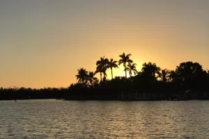 Sunset cruise from Goodland to Marco Island Daily